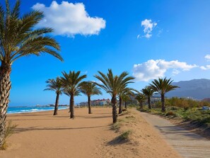 Sky, Cloud, Plant, Water, Tree, Natural Environment, Beach, Natural Landscape, Arecales, Vegetation