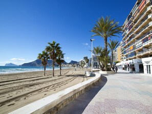 Sky, Building, Water, Daytime, Azure, Tree, Plant, Arecales, Road Surface