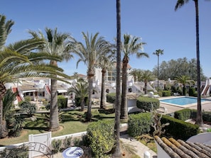 Baum, Palme, Arecales, Palm Desert, Pflanze, Gehölz, Dattelpalme, Botanik, Babassupalme, Urlaub