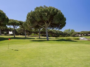 Himmel, Pflanze, Natürlichen Umgebung, Natürliche Landschaft, Baum, Grundstueck, Biome, Gras, Gehölz, Golfplatz