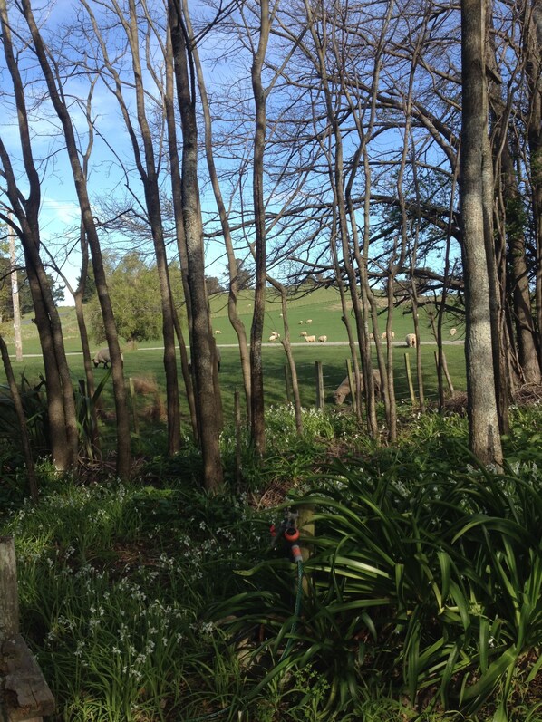 Peaceful farm scenery 