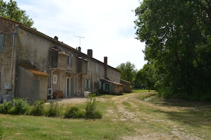 Exteriör