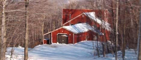 View of house from top of driveway.