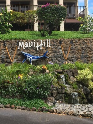 Maui Hill water feature across from the office.