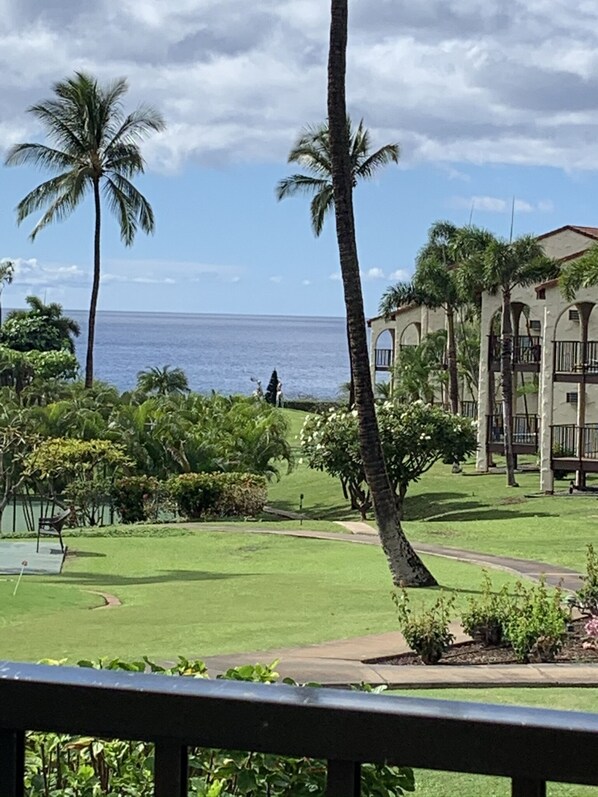 View from the pool