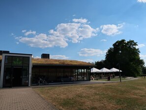 Himmel, Eigentum, Pflanze, Baum, Gebäude, Grundstueck, Steigung, Schatten, Asphalt, Holz