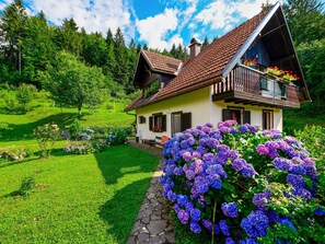 Fleur, Maison, Arbuste, Jardin, Chalet, Domicile, Couverture De Sol, Aménagement Paysager, Ferme, Pelouse