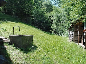 Grass, Green, Natural Landscape, Tree, Land Lot, Grass Family, Plant, Rural Area, Landscape, House