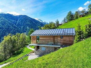 Cloud, Plant, Sky, Mountain, Green, Natural Landscape, Tree, Wood, Land Lot, Grass