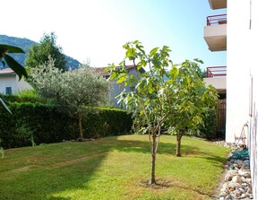 Ciel, Plante, Vert, Feuille, Bâtiment, Ombre, Végétation, Lot Terre, Arbre, Paysage Naturel