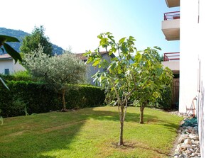 Himmel, Pflanze, Grün, Blatt, Gebäude, Schatten, Vegetation, Grundstueck, Baum, Natürliche Landschaft