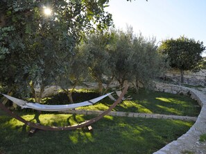 La Nature, Arbre, L'Eau, Végétation, Herbe, Réserve Naturelle, Matin, Lumière Du Soleil, Botanique, Suppression Des Plantes Ligneuses