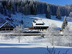 Snow, Sky, Daytime, Plant, Building, Tree, Nature, Blue, Slope, Mountain