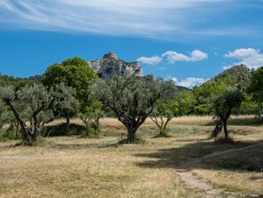 Nuage, Ciel, Plante, Paysage Naturel, Arbre, Végétation, Cumulus, Paysage, Plaine, Prairie