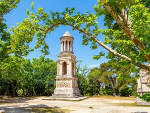 Plant, Sky, Branch, Tree, Grass, Shrub, Monument, City, Garden, Landscape