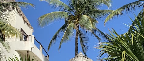 Casitas Entrance