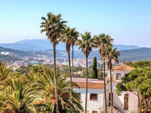 Árbol, Palmera, Vegetación, Arecales, Azur, Plantas Leñosas, Planta, Palmera Datilera, Palm Desert, Vacaciones