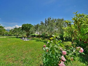 Vegetation, Garden, Flower, Meadow, Property, Natural Environment, Plant, Grass, Tree, Sky