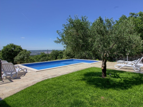 Property, Swimming Pool, Grass, Real Estate, Lawn, Backyard, House, Tree, Yard, Estate