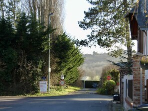 Pflanze, Himmel, Strassenbelag, Baum, Asphalt, Strassenlicht, Durchgangsstrasse, Ländliches Gebiet, Strasse, Landschaft