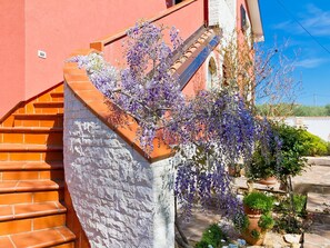 Wall, Lavender, Flower, Plant, Purple, Spring, Tree, Architecture, Real Estate, House