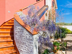 Wall, Lavender, Flower, Plant, Purple, Spring, Tree, Architecture, Real Estate, House