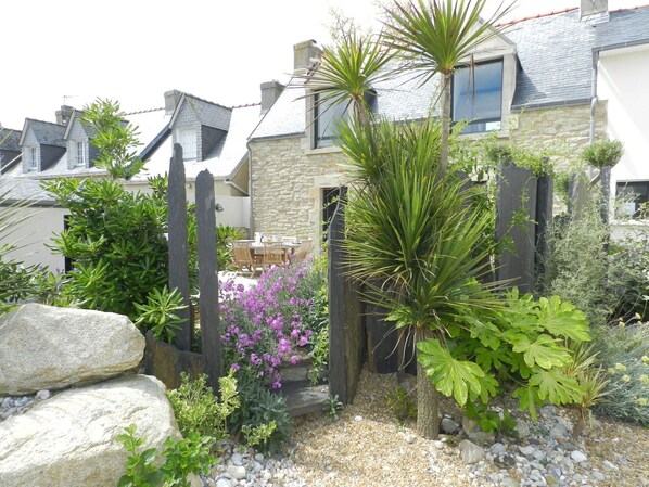 Plant, Window, Plant Community, Building, Botany, House, Flower, Vegetation, Land Lot, Biome