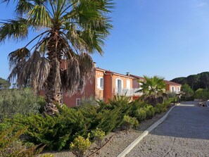 Propiedad, Casa, Casa, Barrio Residencial, Árbol, Vegetación, Bienes Raíces, Palmera, Barrio, Arecales