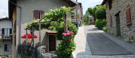 Pflanze, Gebäude, Himmel, Fenster, Eigentum, Wolke, Strassenbelag, Haus, Blume, Vegetation