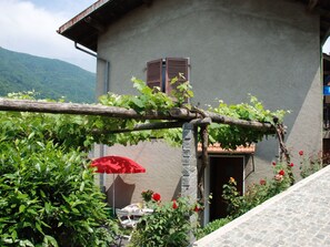 House, Building, Plant, Flower, Cottage, Rural Area, Architecture, Landscape, Roof, Village