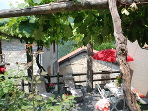 Tree, Plant, Branch, Flower, House, Home, Cottage