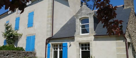 Plant, Building, Property, Window, Sky, Azure, House, Cottage, Neighbourhood, Tree