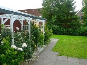 Plante, Fleur, Fenêtre, Arbre, Lot Terre, Herbe, Haie, Zone Résidentielle, Immobilier, Couverture De Sol