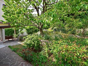 Árbol, Vegetación, Planta, Propiedad, Bienes Raíces, Jardín, Plantas Leñosas, Botánica, Hoja, Hierba