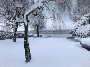 Neige, Paysage Naturel, Brindille, Branche, L'Eau, Gelé, Arbre, Tronc, Noir Et Blanc, Bois