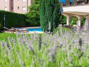 Grün, Gras, Lavendel, Baum, Pflanze, Graspflanze, Rasen, Garten, Strauch, Die Architektur