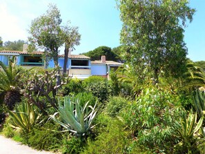 Plante, Ciel, Communauté Des Plantes, Fenêtre, Arbre, Arecales, Terrestre Des Plantes, Lot Terre, Bâtiment, Herbe