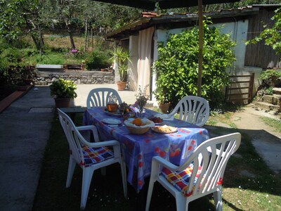 Holidays in the hills "La Migliana" 