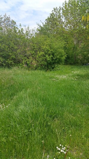 Jardin, une autre vue...