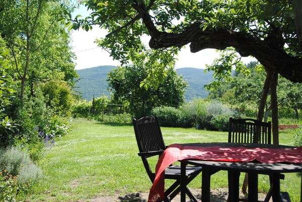 The garden in spring time...