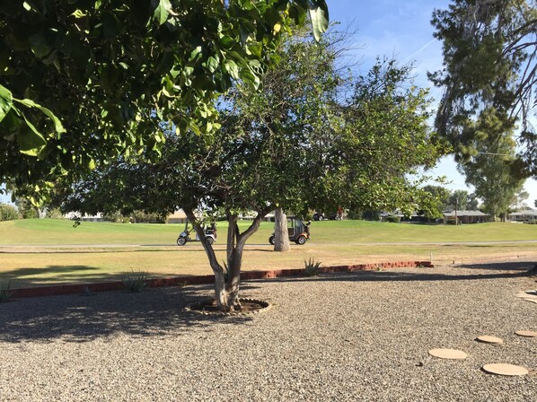 Backyard views of the 17th hole!