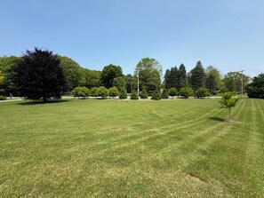 Your morning view of the front yard from the Great Room
