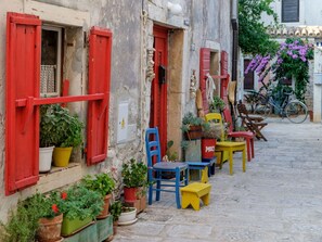 Plant, Building, Flowerpot, Window, Houseplant, House, Neighbourhood, Wall, Facade, Road