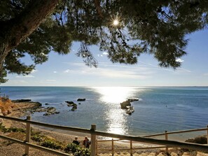 Sky, Water, Sea, Cloud, Ocean, Tree, Coast, Morning, Wilderness, Shore