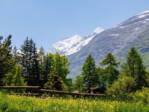Mountainous Landforms, Mountain, Tree, Green, Nature, Mountain Range, Natural Landscape, Vegetation, Hill
