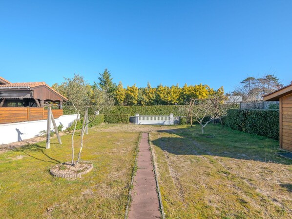 Arbuste, Lot Terre, Jardin, Pelouse, Aménagement Paysager, Ombre, Arrière-Cour, Biens, Cour, Passerelle