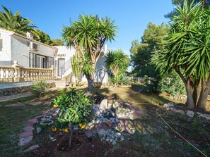 Property, Vegetation, Real Estate, Tree, House, Home, Botany, Garden, Palm Tree, Estate