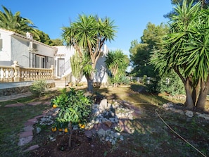 Property, Vegetation, Real Estate, Tree, House, Home, Botany, Garden, Palm Tree, Estate
