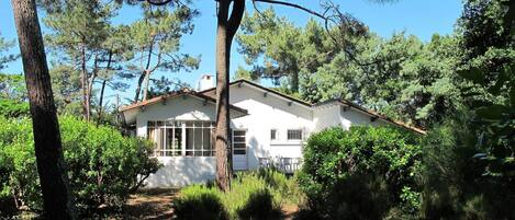 Propiedad, Casa, Casa, Bienes Raíces, Cabaña, Edificio, Árbol, Inmuebles, Techo, Área Rural