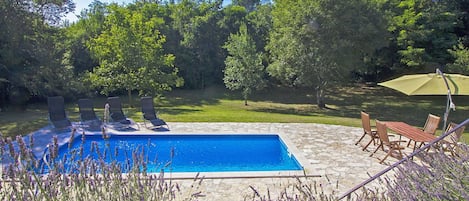 Piscina, Proprietà, Immobiliare, Casa, Botanica, Albero, Erba, Tempo Libero, Estate, Giardino